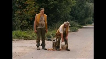 Дятлы дороги.