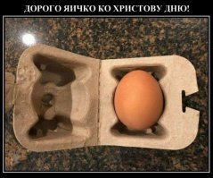 Губернаторская дюжина, или Яичное безумие продолжается