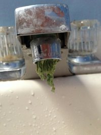 Кран на столько убитый, немудрено, что из него васаби полезло....