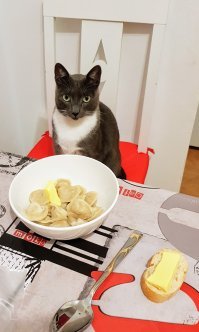 Смешные картинки с надписями