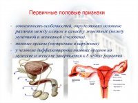 Картина не закончена.