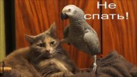 Я бы с ним не связывался.