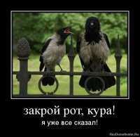 Прикольные и смешные картинки