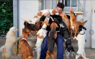 Одинокий и независимый.....