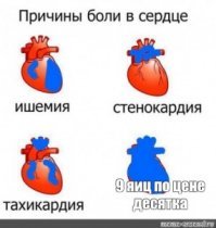 Губернаторская дюжина, или Яичное безумие продолжается