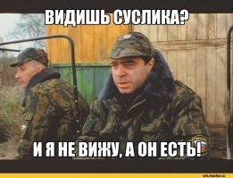Смешные картинки с надписями