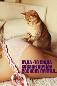 Сосиску? Не очень бабе. Я сардельку припрятываю, а есть кто и колбаску тарит.