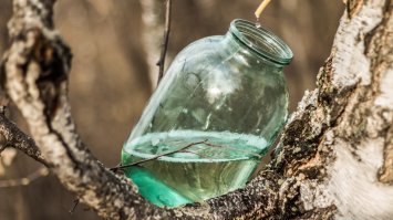 Вот был самый вкусный сок на севере!!!!