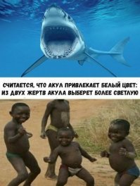 Акула выберет фотографа. Он белый...