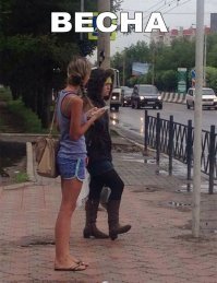 До такого могли додуматься только женщины