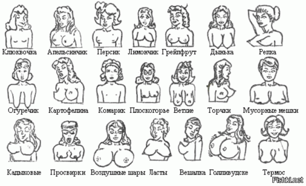 Сделаем ребус! - какая "ягодка" не пришла на фотосъемку?