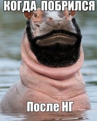 Картинки с надписями