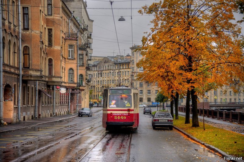 Трамваи Санкт-Петербурга. Фото Эдуарда Гордеева.