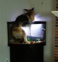 25 человек, которые не были готовы к увиденному