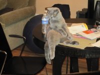 Демотивируй