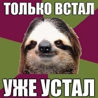 Прикольные и смешные картинки