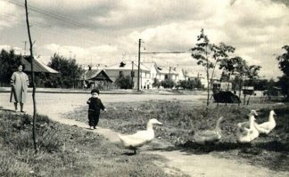 Перово поле, 1962, родился и жил там до 13 лет.