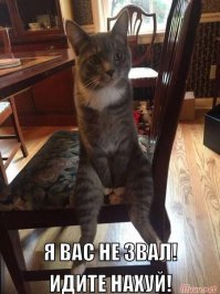 Демотивируй