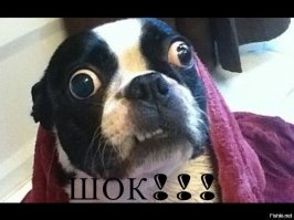 Том Харди и Шарлотта Райли назвали новорожденного сына в честь киноперсонажа