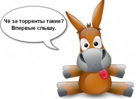 Молодежь не поймет, через что пришлось пройти поколению 2000-х