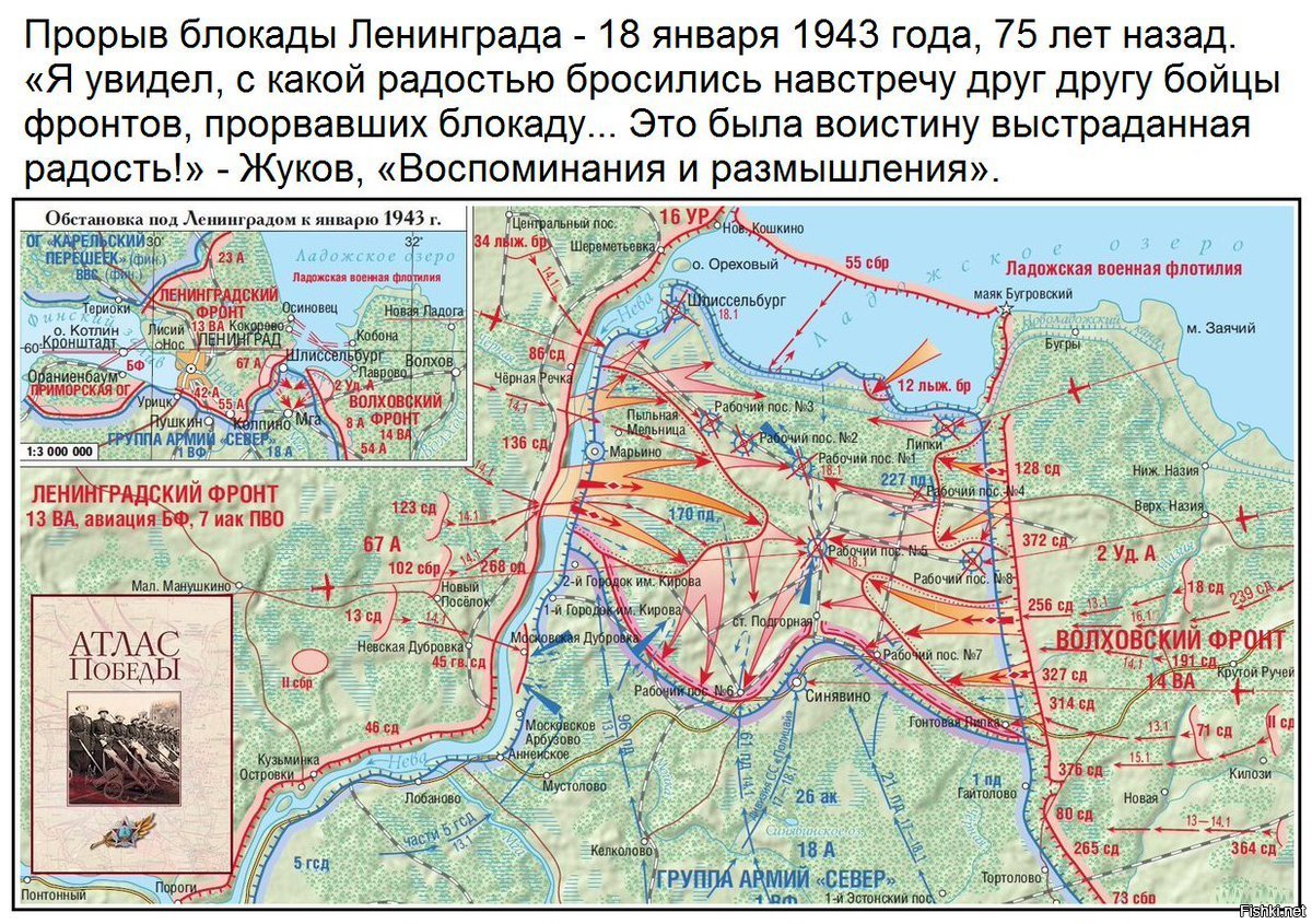 карта дотов ленинградской области фото 95