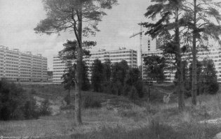 С Вашего позволения...