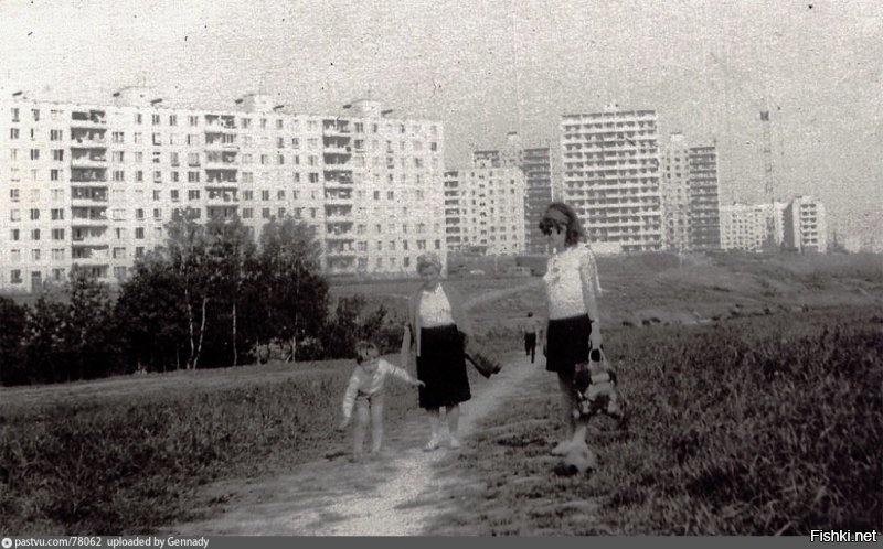 С Вашего позволения...