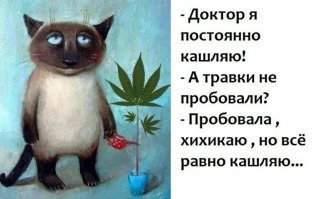 Прикольные и смешные картинки