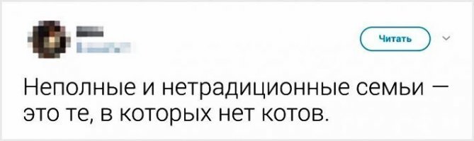 Прикольные и смешные картинки
