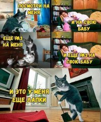 Прикольные комментарии из соцсетей