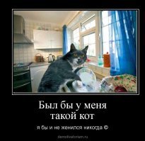 Прикольные комментарии из соцсетей