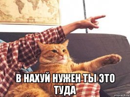Снежок 
