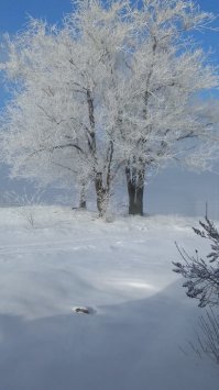 Вчерашний вид из окна... Сегодня уже гораздо хуже. Ростовская область.
