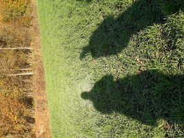 Да что там Луна..., автор ты под ноги посмотри, к примеру почему у некоторых людей тень головы светится, а у других нет?