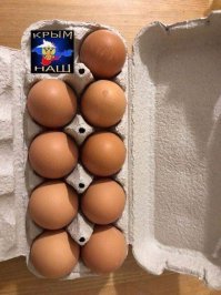 Прикольные и смешные картинки