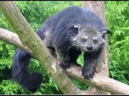 Прикольные и смешные картинки