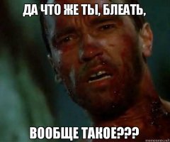 Прикольные и смешные картинки