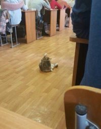 -Кто к доске?
-Я!