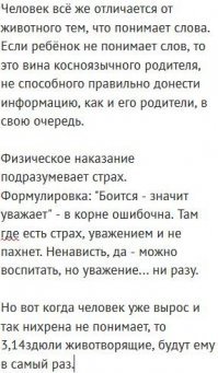 «Мой котенок сводит меня с ума!»