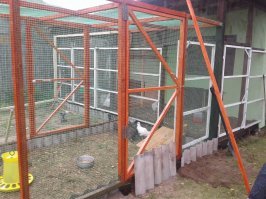 Сегодня установили курятник-индюшатник