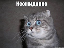 9 веселых смс сообщений, которые не оставят без улыбки