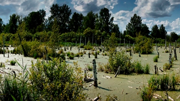 ...а еще, что вот-вот и светлое завтара, слушать не перестаем уже лет 100...
Россия, наверное, вечна... но история (а это все таки наука) показавает, что в таком качестве: