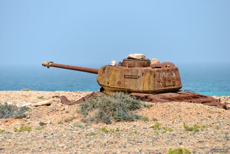 В Йемене еще танки есть. Может и от туда забрать ?