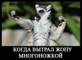 А какое домашнее животное живёт у тебя?