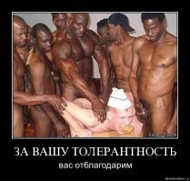на видео они друг друга убить пытаются, но в целом, ситуацию с мигрантами в европе можно описать так: