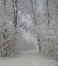Ко мне на работу дорожка:)