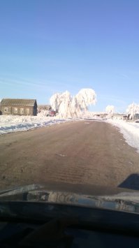 Зима, крестьянин торжествуя
В сугроб засунул кончик...палки.
А на ветвях сидели галки
О тёплом солнышке тоскуя.