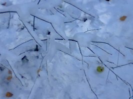 Зима, крестьянин торжествуя
В сугроб засунул кончик...палки.
А на ветвях сидели галки
О тёплом солнышке тоскуя.