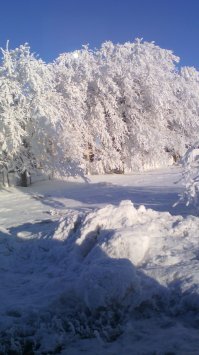 Зима, крестьянин торжествуя
В сугроб засунул кончик...палки.
А на ветвях сидели галки
О тёплом солнышке тоскуя.