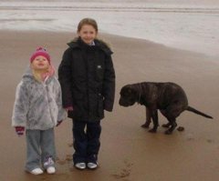 Фотографии, на которых все решает Его Величество Задний План